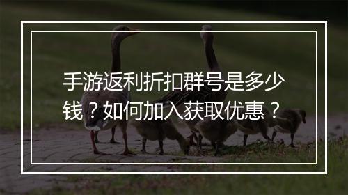 手游返利折扣群号是多少钱?如何加入获取优惠?