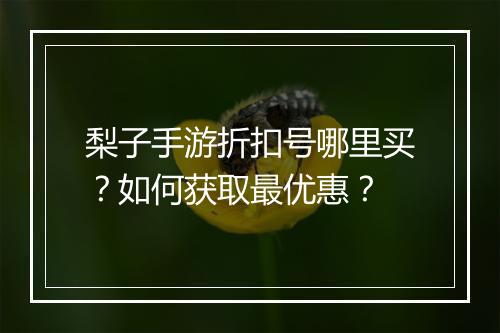 梨子手游折扣号哪里买？如何获取最优惠？