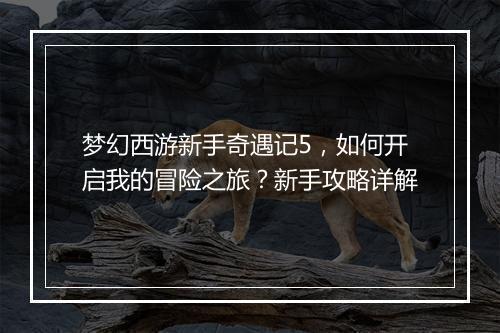 梦幻西游新手奇遇记5，如何开启我的冒险之旅？新手攻略详解