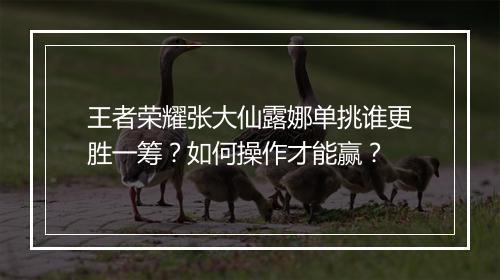 王者荣耀张大仙露娜单挑谁更胜一筹？如何操作才能赢？