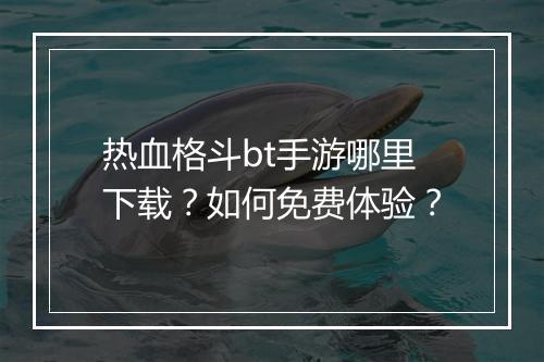 热血格斗bt手游哪里下载？如何免费体验？