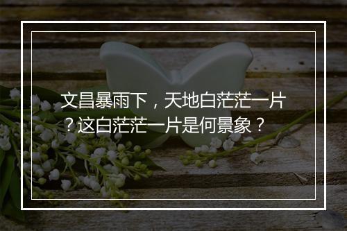 文昌暴雨下，天地白茫茫一片？这白茫茫一片是何景象？