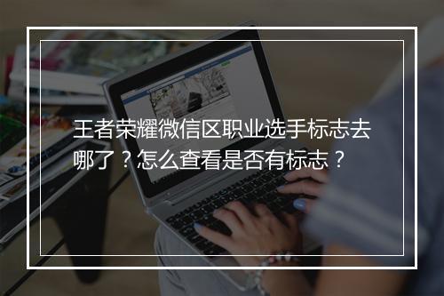 王者荣耀微信区职业选手标志去哪了？怎么查看是否有标志？