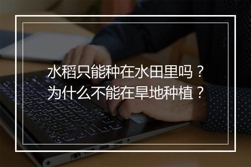水稻只能种在水田里吗？为什么不能在旱地种植？