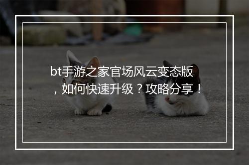bt手游之家官场风云变态版，如何快速升级？攻略分享！