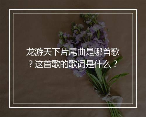 龙游天下片尾曲是哪首歌?这首歌的歌词是什么?