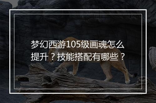 梦幻西游105级画魂怎么提升？技能搭配有哪些？