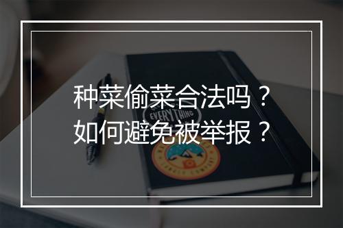 种菜偷菜合法吗?如何避免被举报?