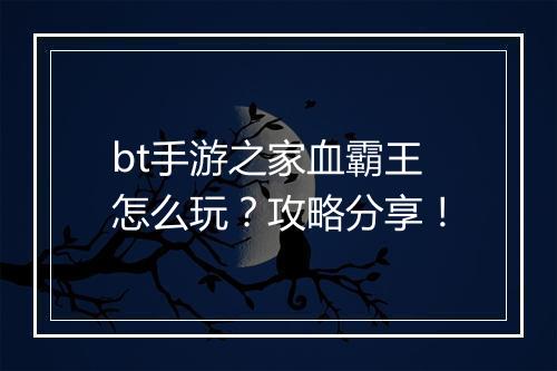 bt手游之家血霸王怎么玩？攻略分享！