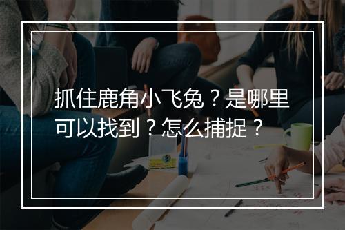 抓住鹿角小飞兔？是哪里可以找到？怎么捕捉？