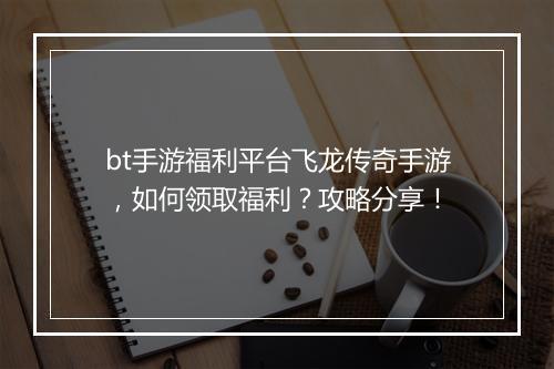 bt手游福利平台飞龙传奇手游,如何领取福利?攻略分享!