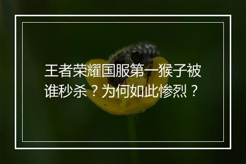 王者荣耀国服第一猴子被谁秒杀？为何如此惨烈？