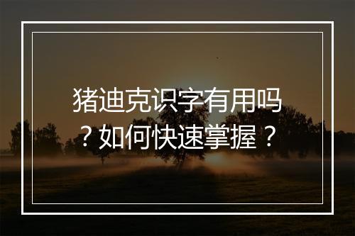 猪迪克识字有用吗?如何快速掌握?