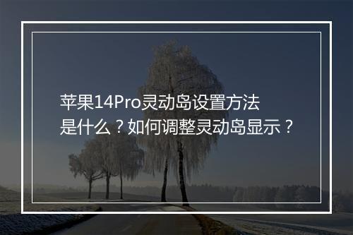 苹果14Pro灵动岛设置方法是什么？如何调整灵动岛显示？