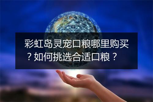 彩虹岛灵宠口粮哪里购买?如何挑选合适口粮?