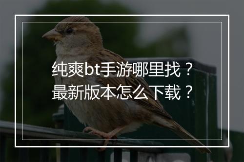 纯爽bt手游哪里找?最新版本怎么下载?