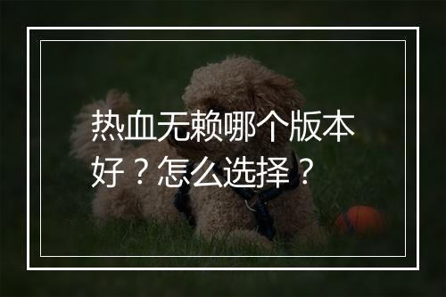 热血无赖哪个版本好?怎么选择?