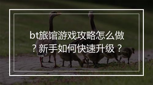 bt旅馆游戏攻略怎么做？新手如何快速升级？