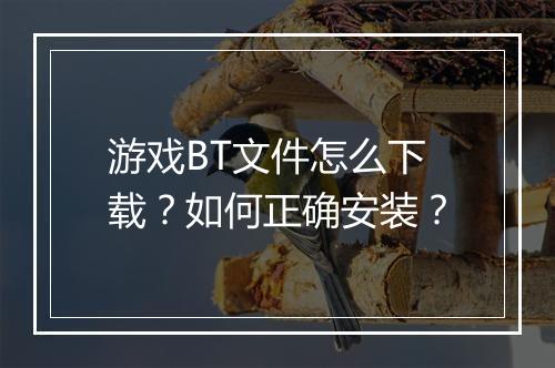 游戏BT文件怎么下载?如何正确安装?