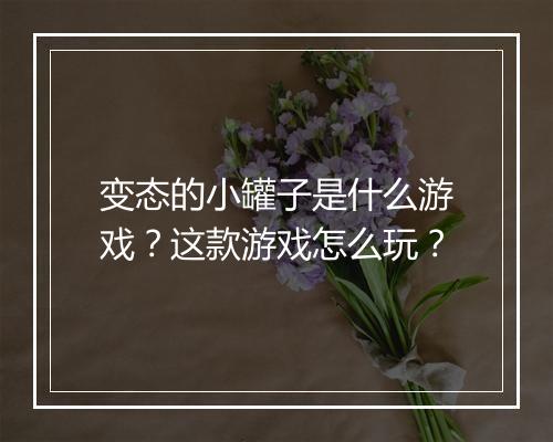 变态的小罐子是什么游戏？这款游戏怎么玩？