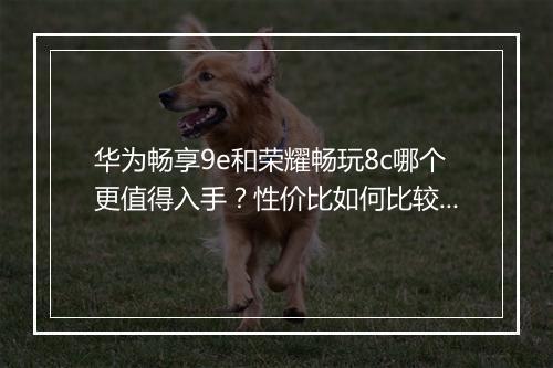 华为畅享9e和荣耀畅玩8c哪个更值得入手？性价比如何比较？