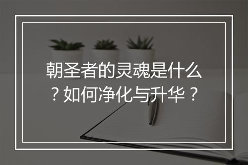 朝圣者的灵魂是什么?如何净化与升华?