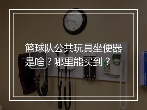篮球队公共玩具坐便器是啥?哪里能买到?