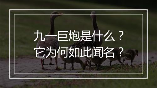 九一巨炮是什么?它为何如此闻名?