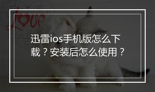 迅雷ios手机版怎么下载?安装后怎么使用?