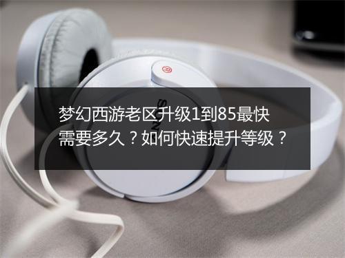 梦幻西游老区升级1到85最快需要多久？如何快速提升等级？