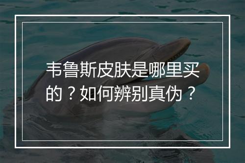 韦鲁斯皮肤是哪里买的?如何辨别真伪?