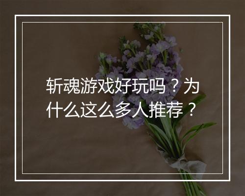 斩魂游戏好玩吗？为什么这么多人推荐？