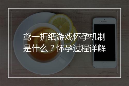鸢一折纸游戏怀孕机制是什么?怀孕过程详解