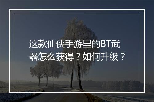 这款仙侠手游里的BT武器怎么获得?如何升级?