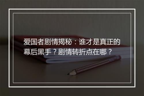 爱国者剧情揭秘:谁才是真正的幕后黑手?剧情转折点在哪?