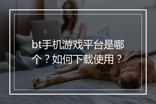 bt手机游戏平台是哪个?如何下载使用?