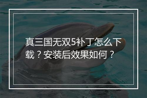 真三国无双5补丁怎么下载?安装后效果如何?