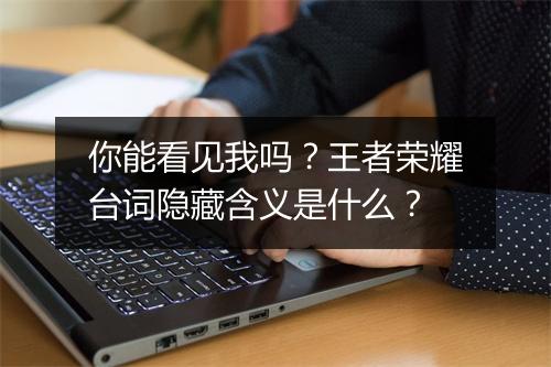 你能看见我吗？王者荣耀台词隐藏含义是什么？