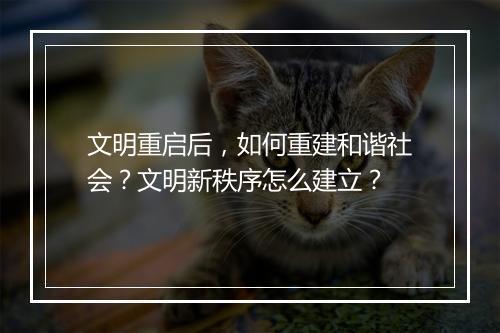 文明重启后,如何重建和谐社会?文明新秩序怎么建立?