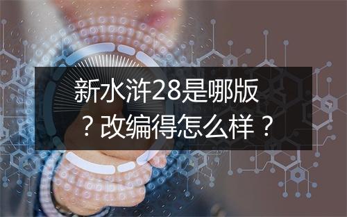 新水浒28是哪版?改编得怎么样?