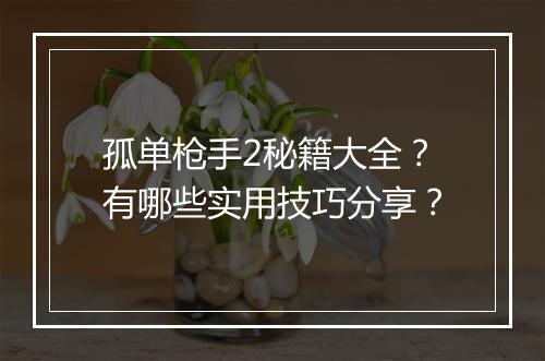 孤单枪手2秘籍大全？有哪些实用技巧分享？