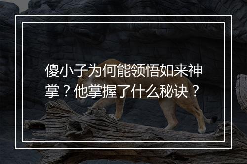 傻小子为何能领悟如来神掌？他掌握了什么秘诀？
