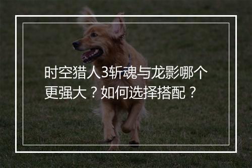 时空猎人3斩魂与龙影哪个更强大？如何选择搭配？