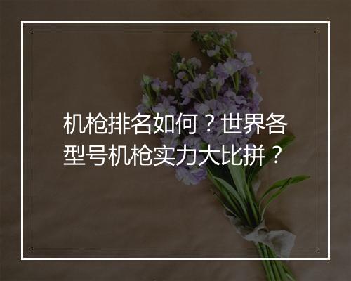 机枪排名如何？世界各型号机枪实力大比拼？