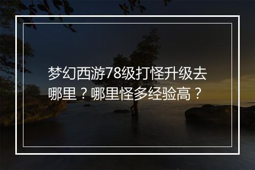 梦幻西游78级打怪升级去哪里？哪里怪多经验高？