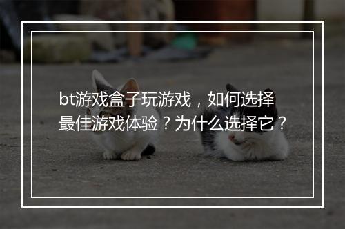 bt游戏盒子玩游戏,如何选择最佳游戏体验?为什么选择它?