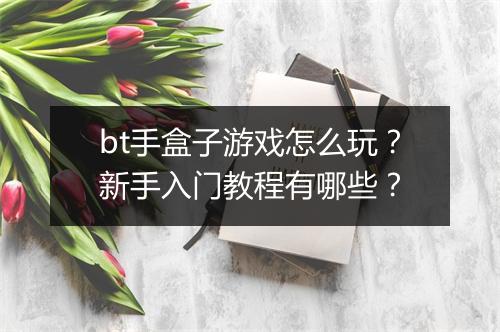 bt手盒子游戏怎么玩?新手入门教程有哪些?