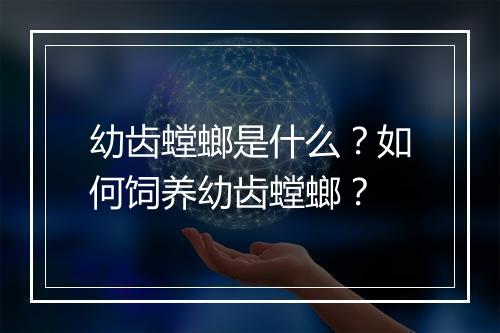 幼齿螳螂是什么?如何饲养幼齿螳螂?
