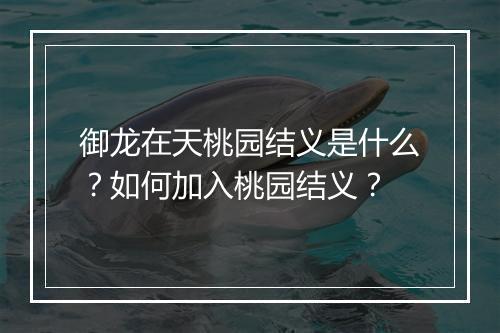 御龙在天桃园结义是什么?如何加入桃园结义?