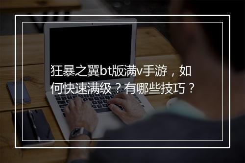 狂暴之翼bt版满v手游,如何快速满级?有哪些技巧?
